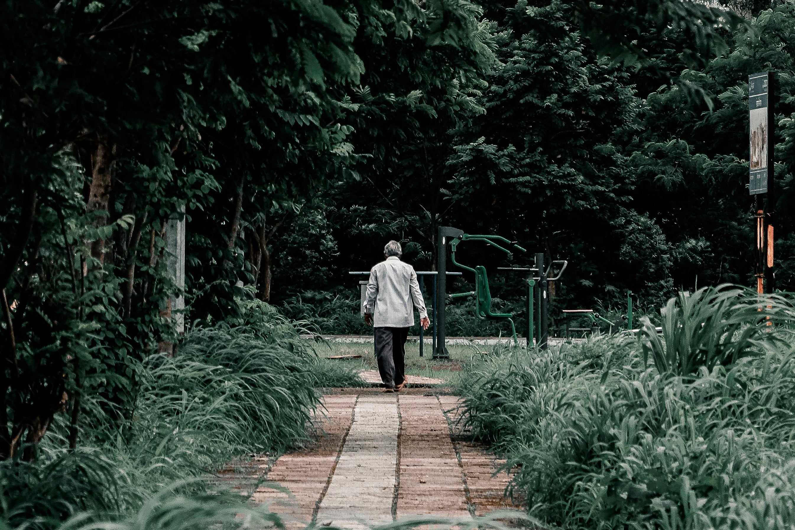 person walking in the woods