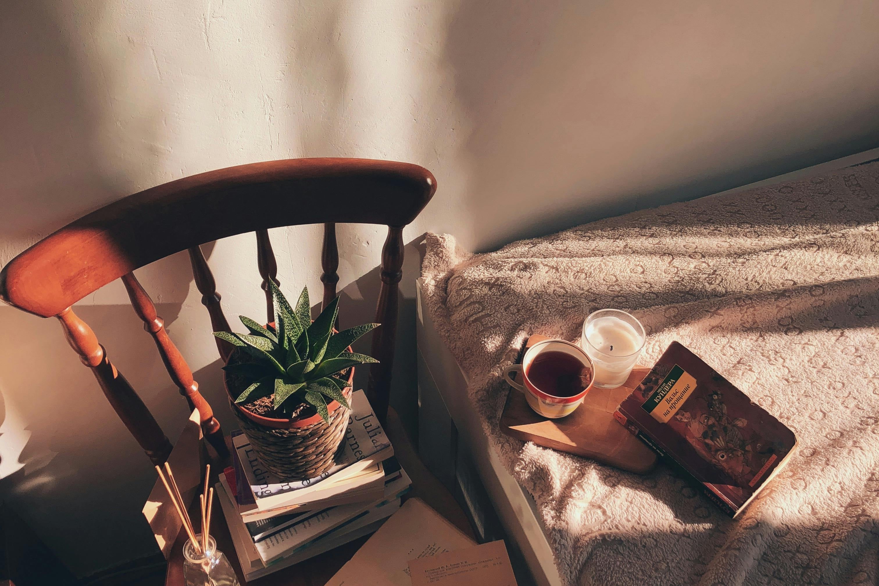 aloe vera plant on a chair inside the bedroom