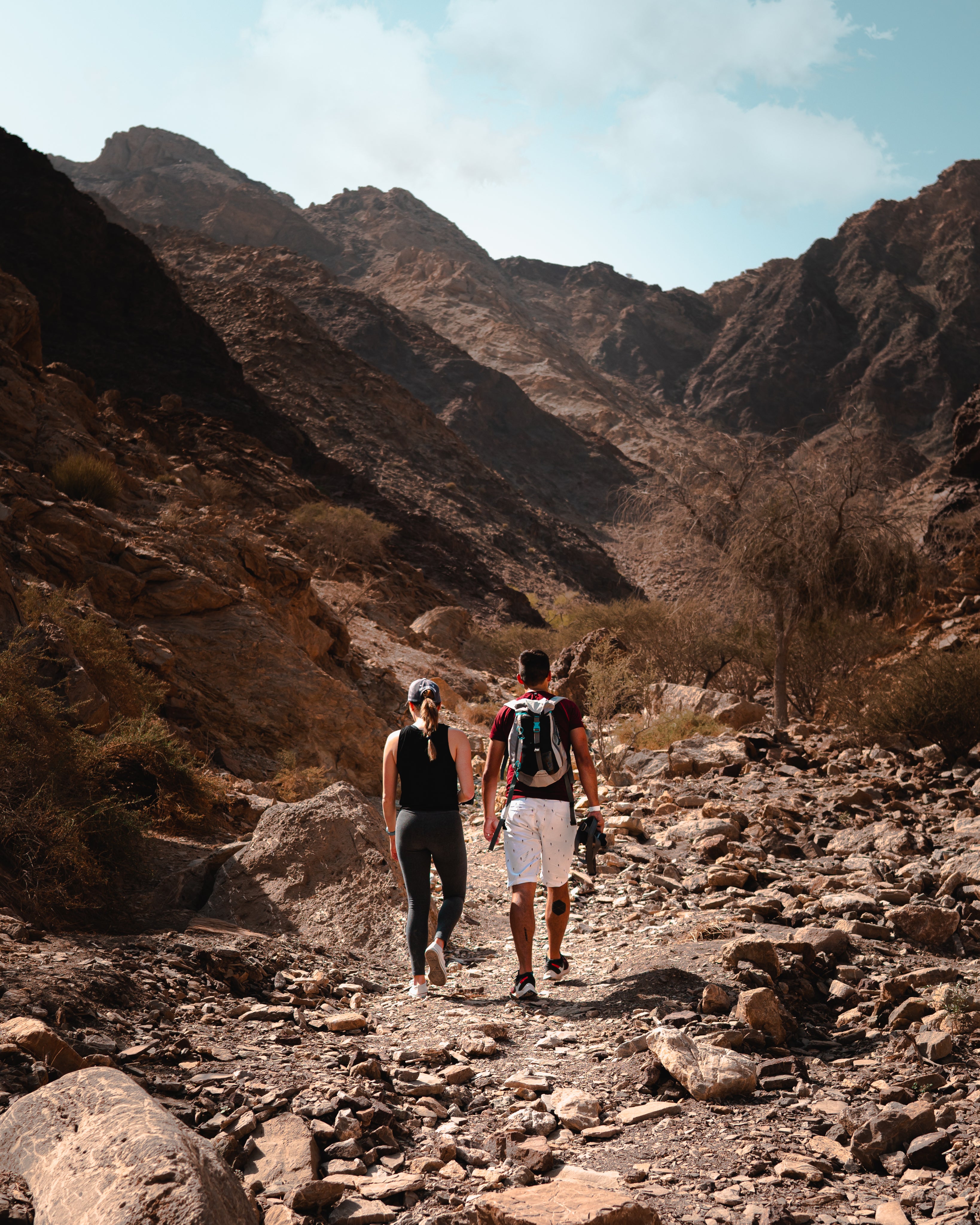 Two people hiking side by side on a rustic trail surrounded by nature, enjoying an outdoor adventure in a peaceful, scenic setting